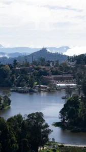 Screenshot of People Also Ask box expanded